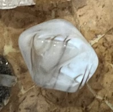 WES 28 White Lace Agate, Mexico