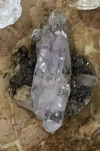 WES 24 Amethyst, Vera Cruz, Mexico