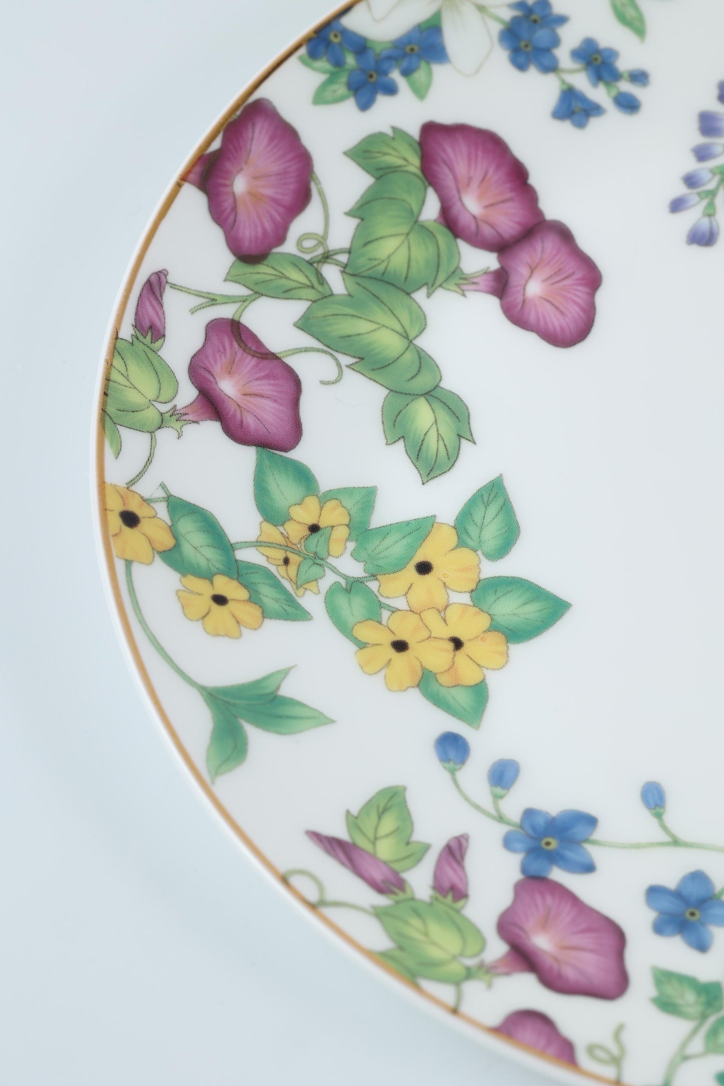 Botanical Plate Workshop with Leo Wong (Sept)
