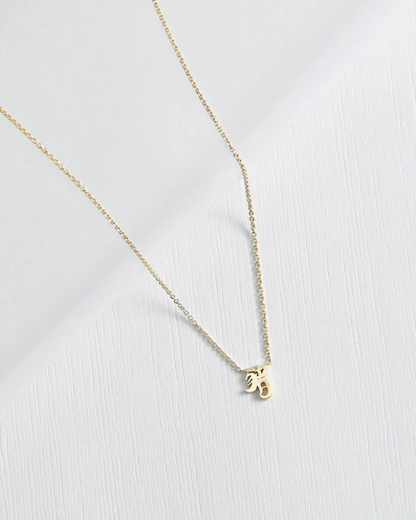 RIG - Pig Necklace (豬)